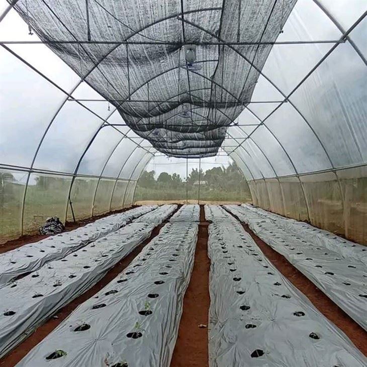 Agricultural Plastic Film best
