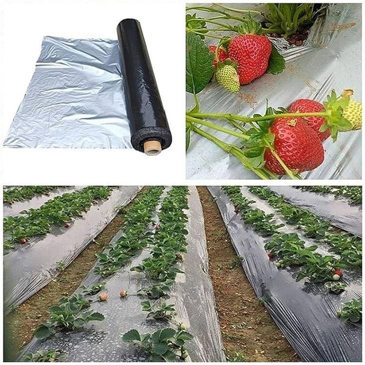 Agricultural Plastic Film suppliers
