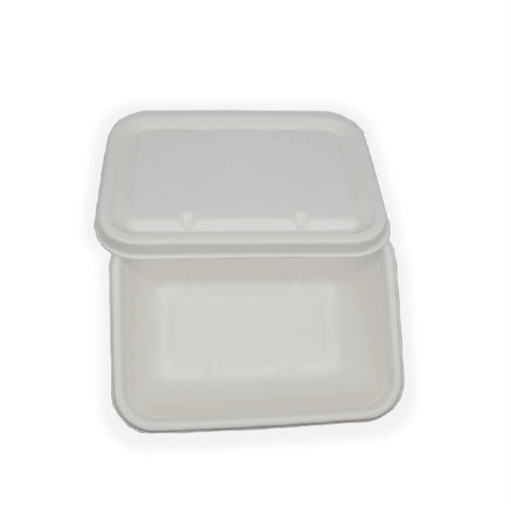 Biodegradable Boxes For Food best