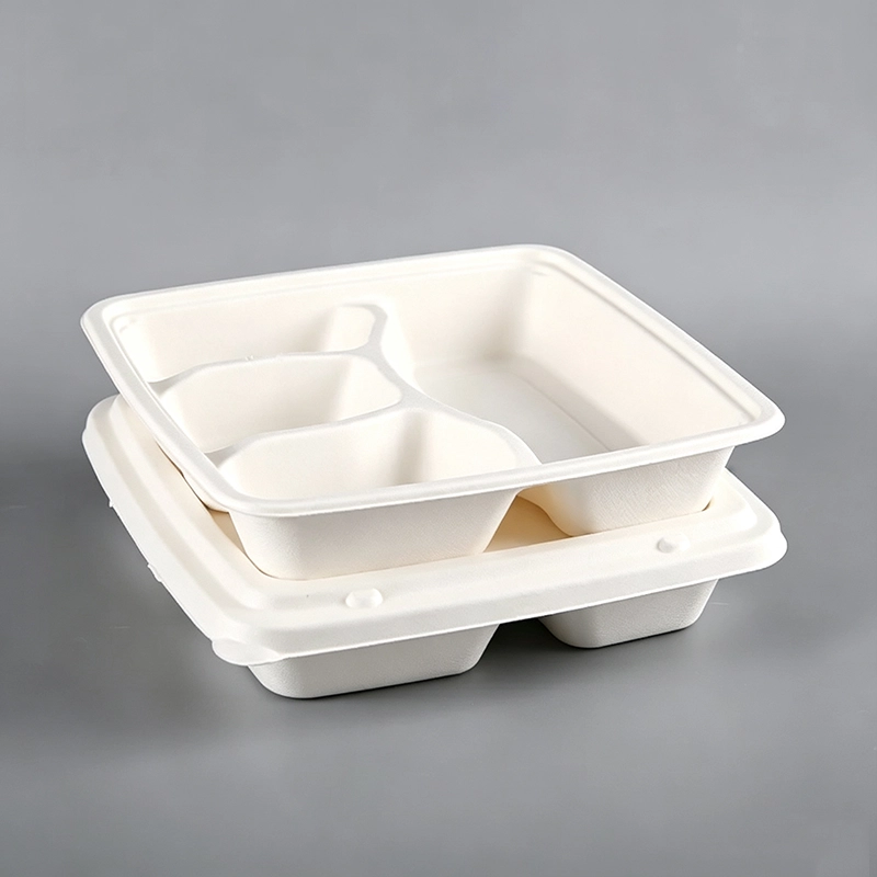 Biodegradable Boxes For Food suppliers