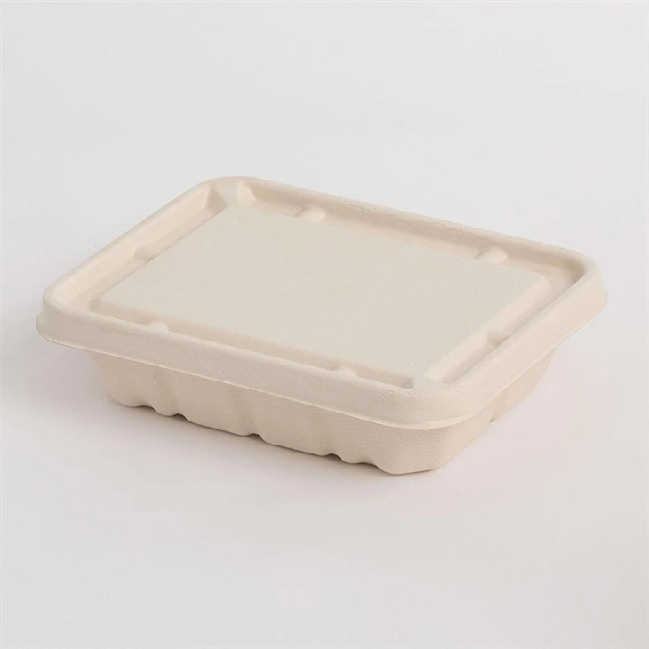 Biodegradable Boxes For Food factory
