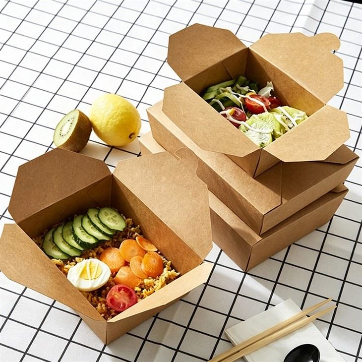 Paper Take Away Boxes best