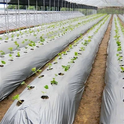 Agricultural Plastic Film